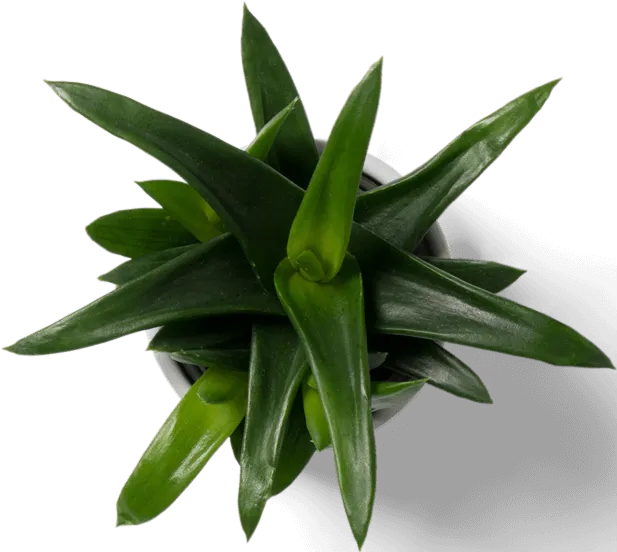 Student Central Case Study Vantage Spaces